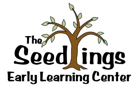 The Seedlings Early Learning Center Inc